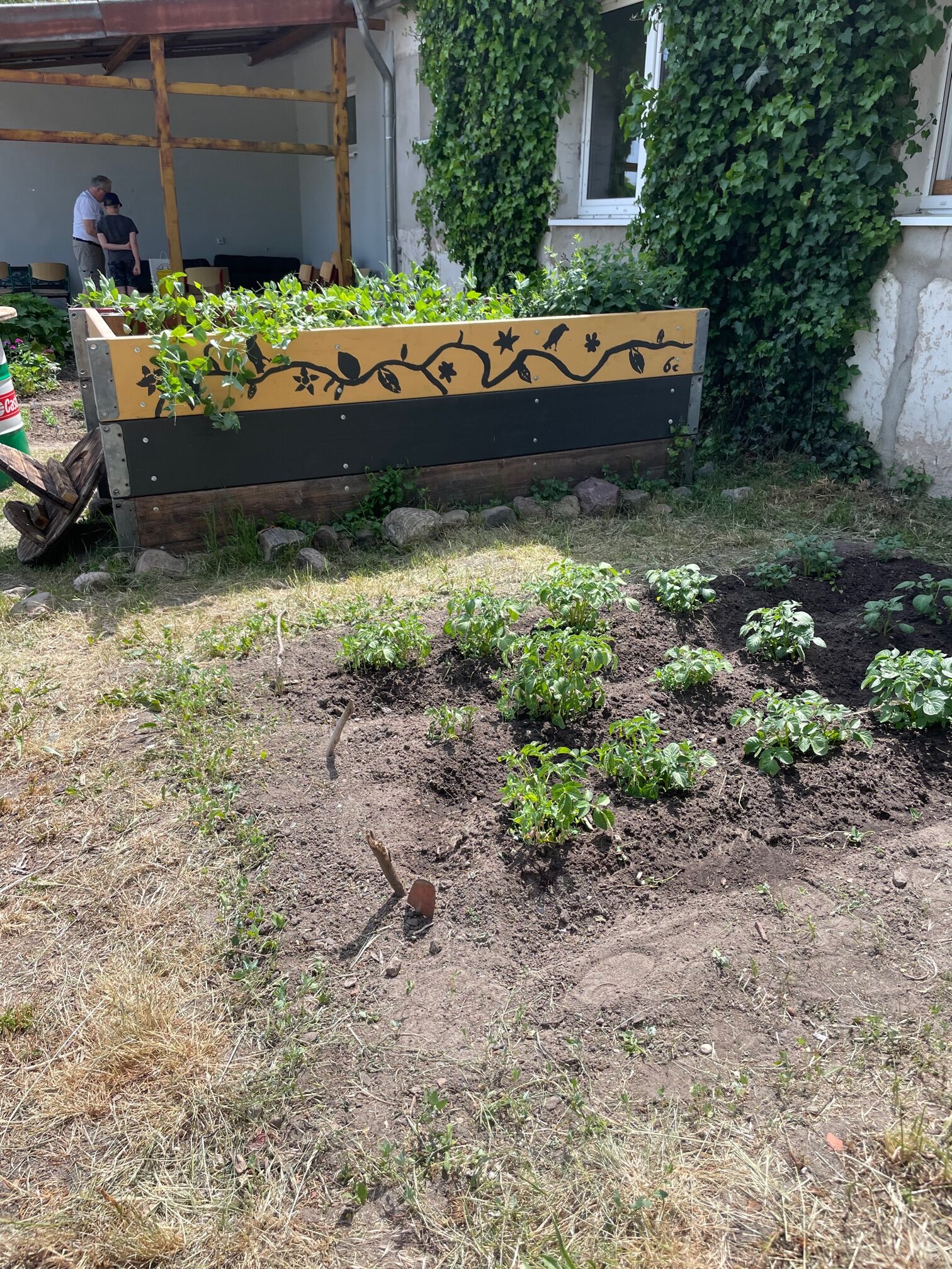 Unser Schulgarten Regionale Schule Lübz